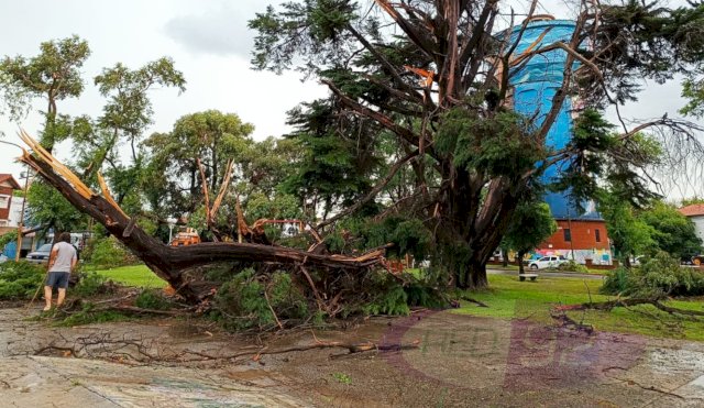 MUERTEMIRAMARTEMPORAL