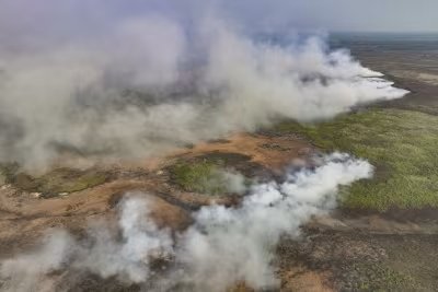 Tragedia ecológica en el mayor humedal del mundo 